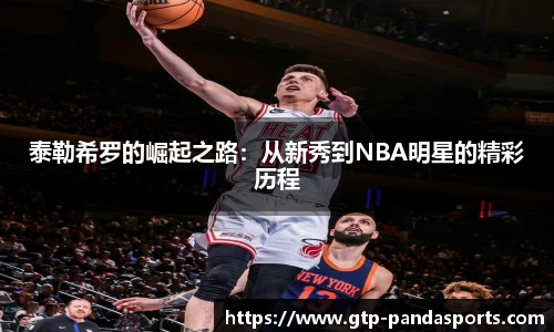 熊猫体育登录入口